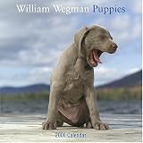 Wegman, William: William Wegman Puppies 2006 calendar Wegman, William: William Wegman Puppies 2006 calendar