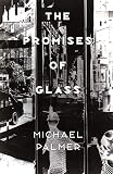 Palmer, Michael: The Promises of Glass