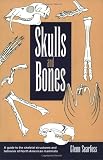 Searfoss, Glenn: Skulls and Bones: A Guide to the Skeletal Structures and Behavior of North American Mammals Searfoss, Glenn: Skulls and Bones: A Guide to the Skeletal Structures and Behavior of North American Mammals