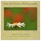 Fine Art Flower Photography: Creative Techniques And The Art Of Observation
