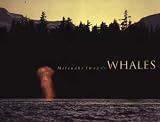 Iwago, Mitsuaki: Mitsuaki Iwago's Whales Iwago, Mitsuaki: Mitsuaki Iwago's Whales
