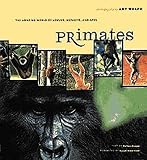 Sleeper, Barbara: Primates : The Amazing World of Lemurs, Monkeys, and Apes Sleeper, Barbara: Primates : The Amazing World of Lemurs, Monkeys, and Apes