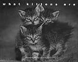 Beals, Sharon: What Kittens Are : Notecards