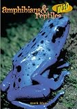 Blum, Mark: Amphibians and Reptiles in 3-D