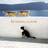 Silvester, Hans: Kittens in the Sun