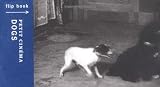 [???]: Dogs