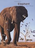Bolam, Emily: Elephant