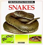Angels Julivert, Maria: The Fascinating World of Snakes