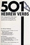 Bolozky, Shmuel: 501 Hebrew Verbs: Fully Conjugated in All the Tenses in a New Easy-To-Follor Format Alphabetacially Arranged by Root