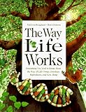 Hoagland, Mahlon B.: The Way Life Works: Everything You Need to Know about the Way All Life Grows, Develops, Reproducts and Gets Along