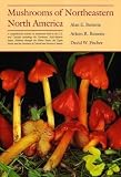 Fischer, David W.: Mushrooms of Northeastern North America Fischer, David W.: Mushrooms of Northeastern North America