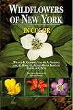 Bessette, Alan E.: Wildflowers of New York in Color Bessette, Alan E.: Wildflowers of New York in Color