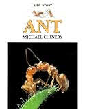 Chinery, Michael: Ant Chinery, Michael: Ant