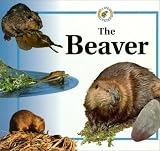 Crewe, Sabrina: The Beaver