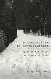 Perry, Patricia H.: A Composition of Consciousness: Roads of Reflection from Freire and Elbow Perry, Patricia H.: A Composition of Consciousness: Roads of Reflection from Freire and Elbow