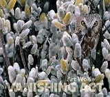 Wolfe, Art: Vanishing Act
