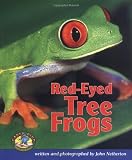 Netherton, John: Red-Eyed Tree Frogs