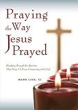Link, Mark: Praying the Way Jesus Prayed
