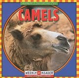 Macken, Joann Early: Camels Macken, Joann Early: Camels