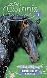 Mackall, Dandi Daley: Midnight Mystery