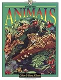 Whyte, Malcolm: Exotic Animals Whyte, Malcolm: Exotic Animals