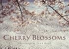 Cherry Blossoms by Jake Rajs
