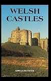 Pettifer, Adrian: Welsh Castles : A Guide by Counties