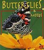 Kalman, Bobbie: Butterflies and Moths