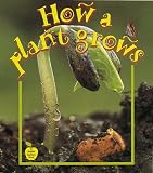 Kalman, Bobbie: How a Plant Grows Kalman, Bobbie: How a Plant Grows
