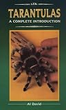 David, Al: Tarantulas: A Complete Introduction
