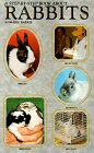 Barrie, Annmarie: A Step by Step Book About Rabbits