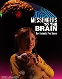 Martin, Paul D.: Messengers to the Brain: Our Fantastic Five Senses Martin, Paul D.: Messengers to the Brain: Our Fantastic Five Senses