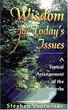Voorwinde, Stephen: Wisdom for Today's Issues: A Topical Arrangement of the Proverbs