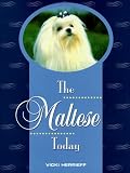 Henrieff, Vicki: The Maltese Today