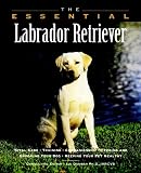 Howell Book House: The Essential Labrador Retriever
