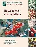 Phipps, J. B.: Hawthorns and Medlars