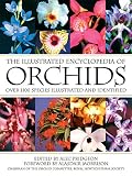 Pridgeon, Alec: The Illustrated Encyclopedia of Orchids
