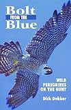 Dekker, Dick: Bolt from the Blue: Wild Peregrines on the Hunt