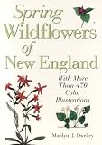 Dwelley, Marilyn: Spring Wildflowers of New England Dwelley, Marilyn: Spring Wildflowers of New England
