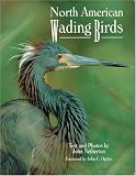 Netherton, John: North American Wading Birds