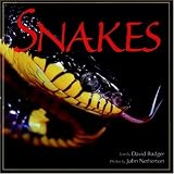 Netherton, John: Snakes