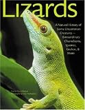Netherton, John: Lizards: A Natural History of Some Uncommon Creatures --Extraordinary Chameleons, Iguanas, Geckos, and More Netherton, John: Lizards: A Natural History of Some Uncommon Creatures --Extraordinary Chameleons, Iguanas, Geckos, and More