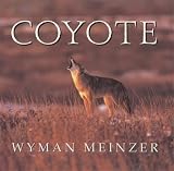 Meinzer, Wyman: Coyote Meinzer, Wyman: Coyote