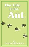 Miall, Bernard: The Life of the Ant Miall, Bernard: The Life of the Ant