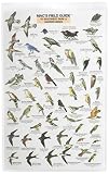 MacGowan, Craig: Mac's Guide-S.W. Park-Backyard Birds