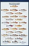 MacGowan, Craig: Mac's Field Guide to Salmon and Trout