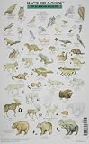 MacGowan, Craig: Mac's Field Guide to Alaskan Wildlife