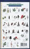 MacGowan, Craig: Mac's Field Guide to Acadia National Park