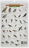 MacGowan, Craig: Mac's Field Guide to Yosemite National Park: Birds/Mammals