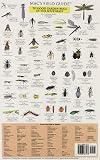 MacGowan, Craig: Mac's Field Guide to Bad Garden Bugs of the Southeast